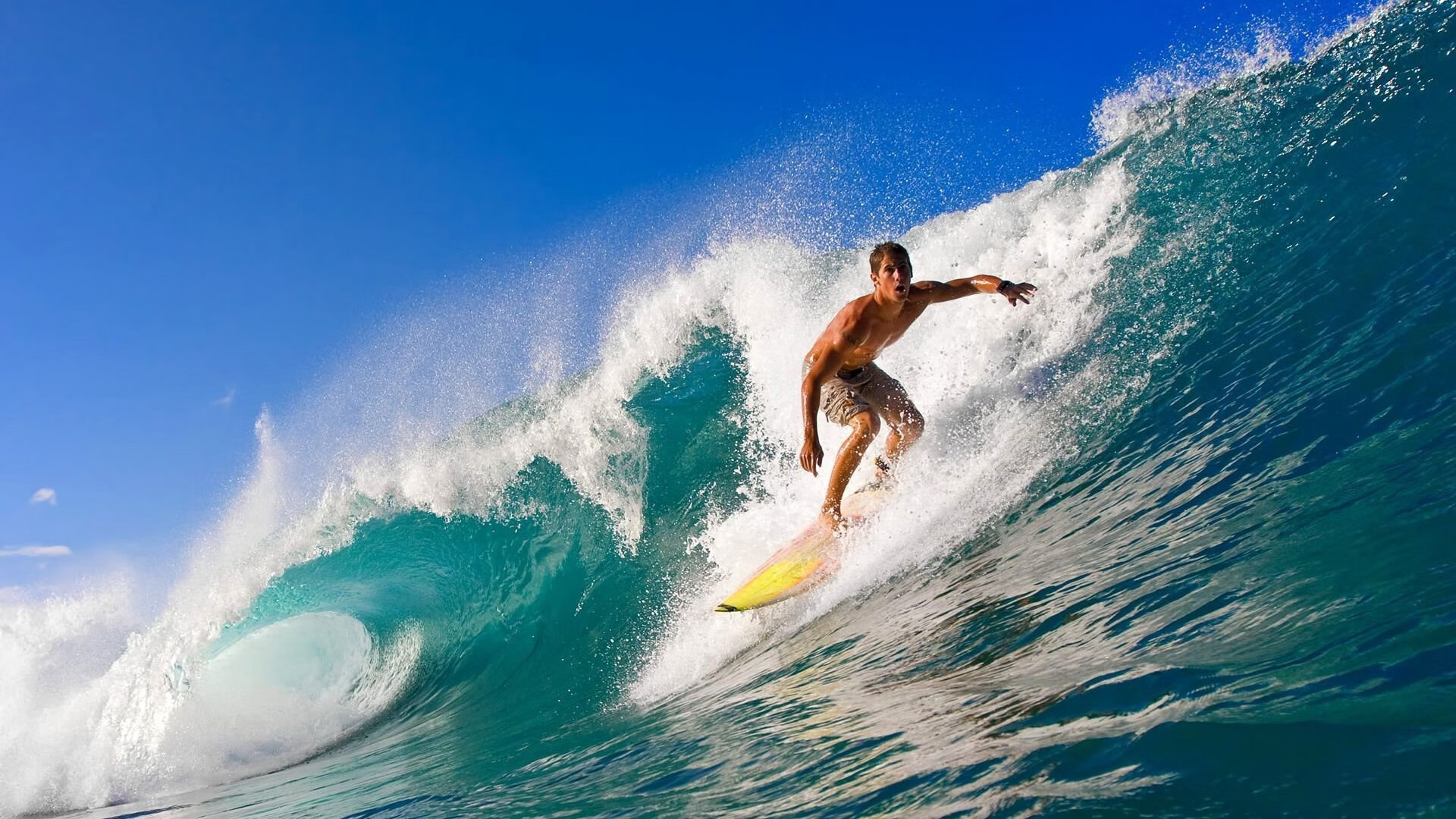 九游下载官方正版-第五人格全球邀请赛，心理战术比拼精彩纷呈，第五人格线下比赛2021